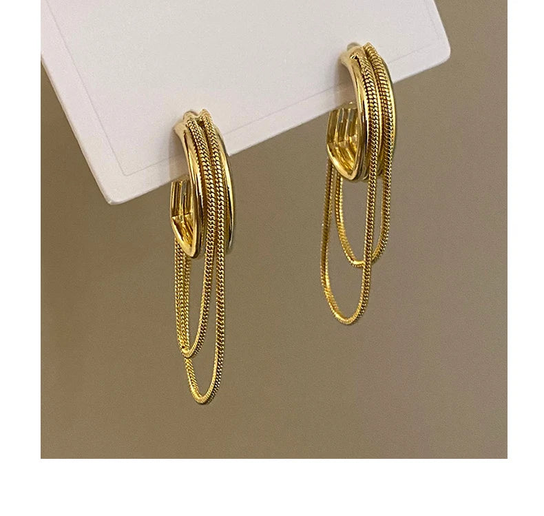 Argola Luxo Leve 2 Pague 1
