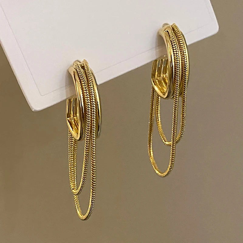 Argola Luxo Leve 2 Pague 1